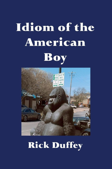 Kniha Idiom of the American Boy 