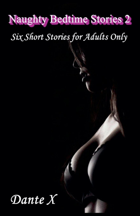 Book Naughty Bedtime Stories 2 Dante X