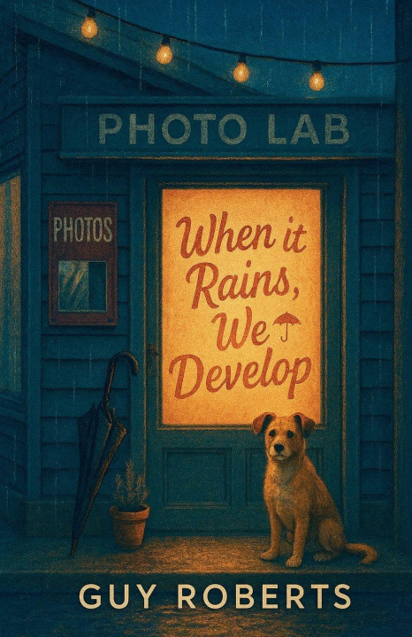 Book When it Rains We Develop Guy Roberts