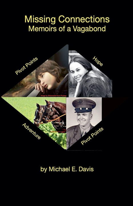 Kniha Missing Connections Michael E. Davis