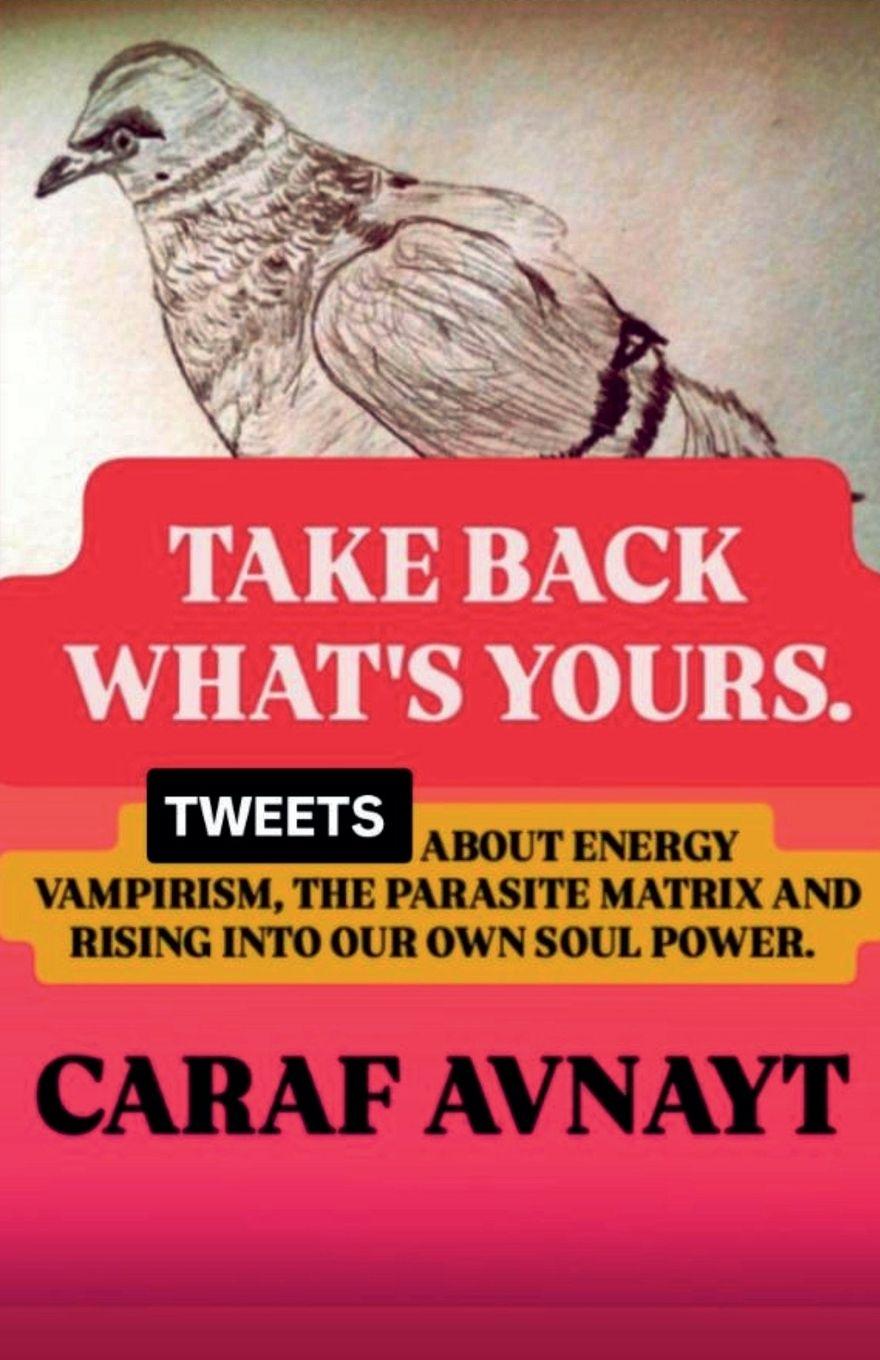 Book Take Back What's Yours Caraf Avnayt