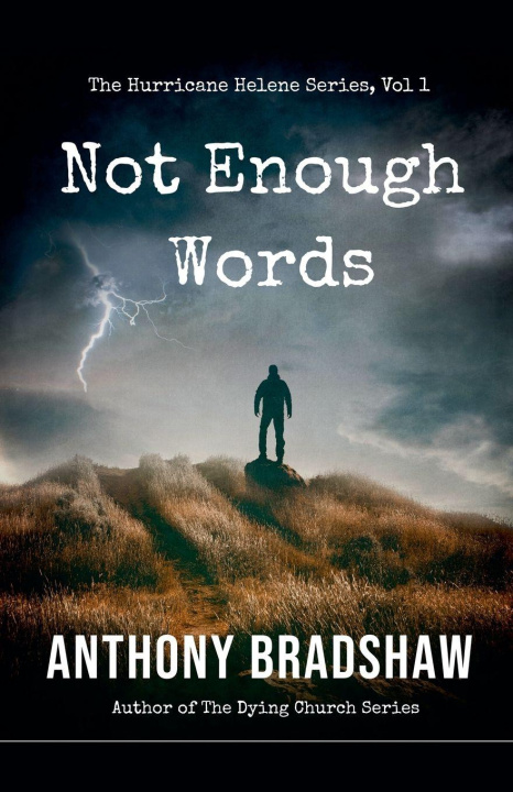 Kniha Not Enough Words anthony bradshaw