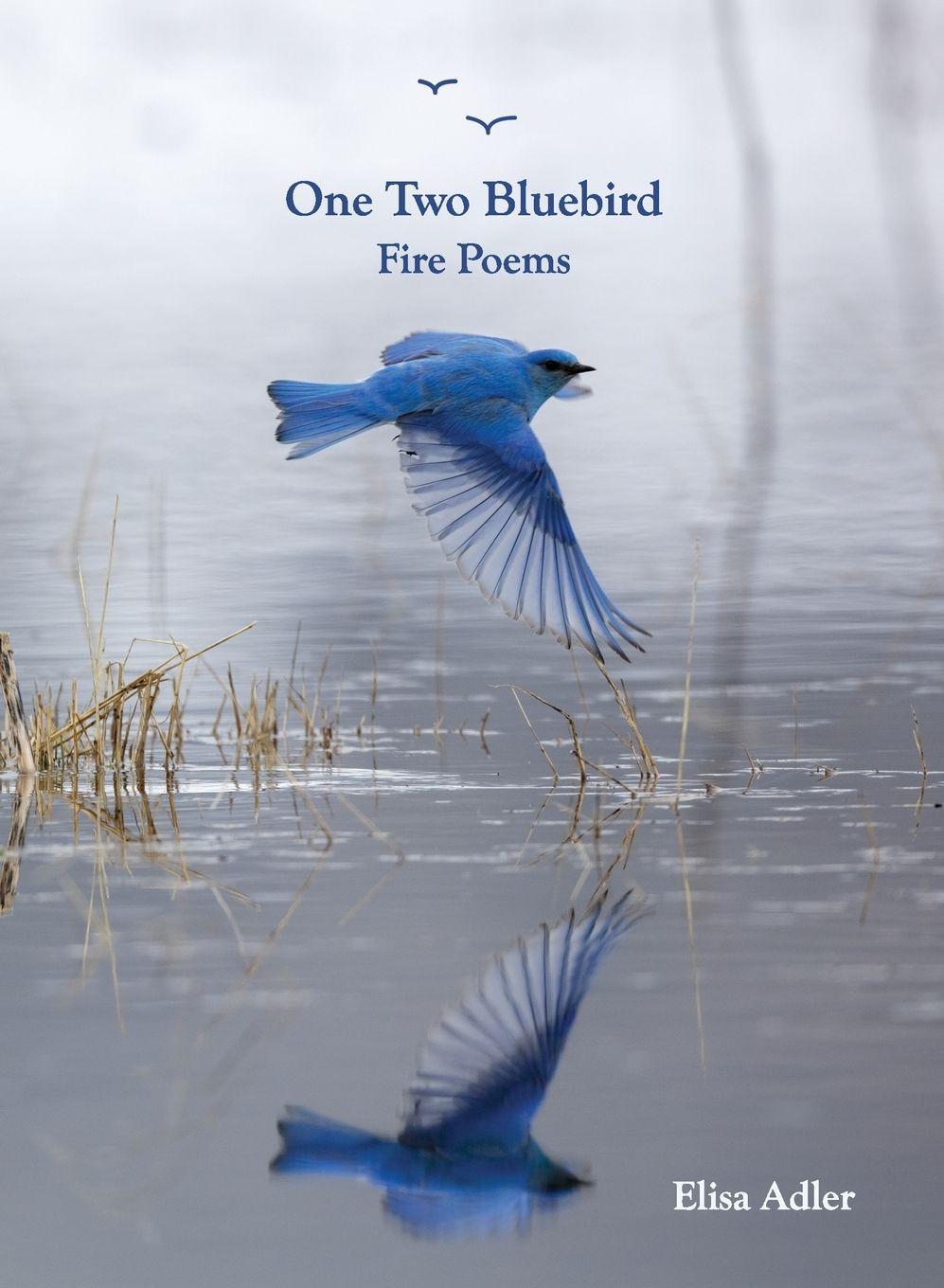 Knjiga One Two Bluebird Elisa Adler