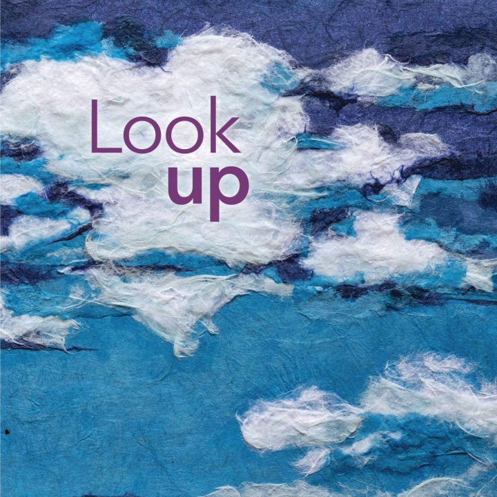 Kniha Look up 