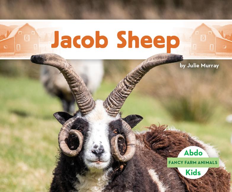 Kniha Jacob Sheep 