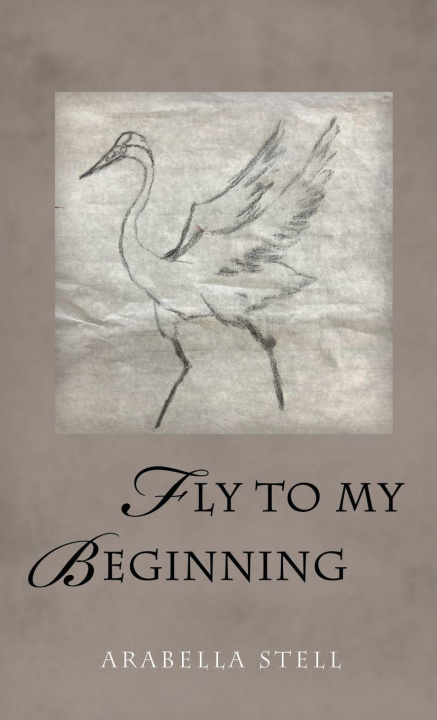 Kniha Fly to My Beginning Arabella Stell