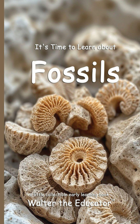 Kniha It's Time to Learn about Fossils Walter the Educator