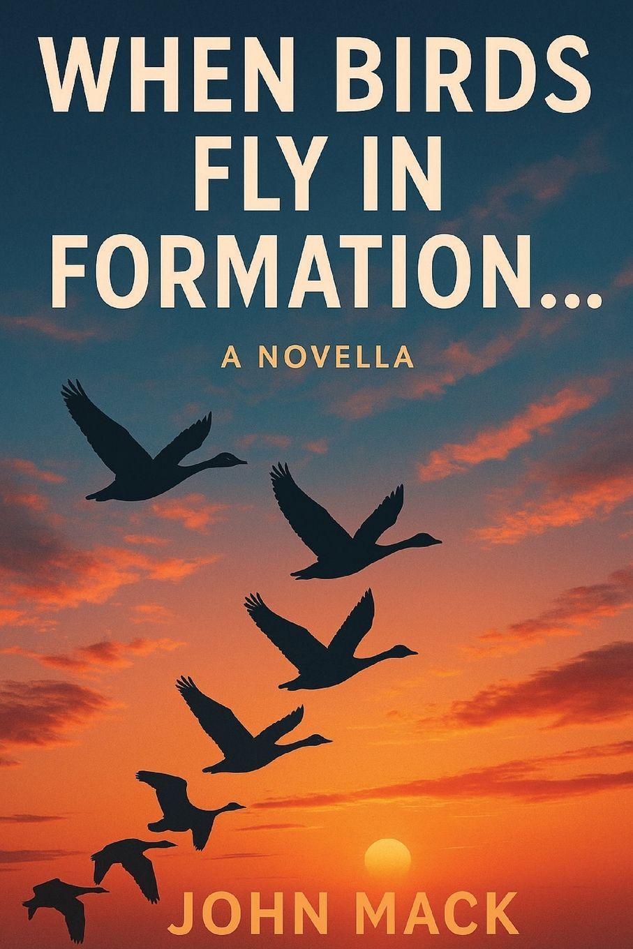 Libro When Birds Fly In Formation John Mack