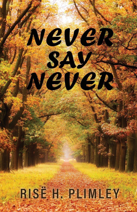 Book Never Say Never Risë H. Plimley