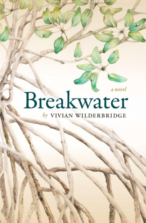 Kniha Breakwater Vivian Wilderbridge