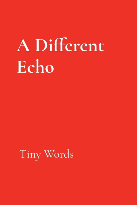 Kniha A Different Echo Kimberly Cummings