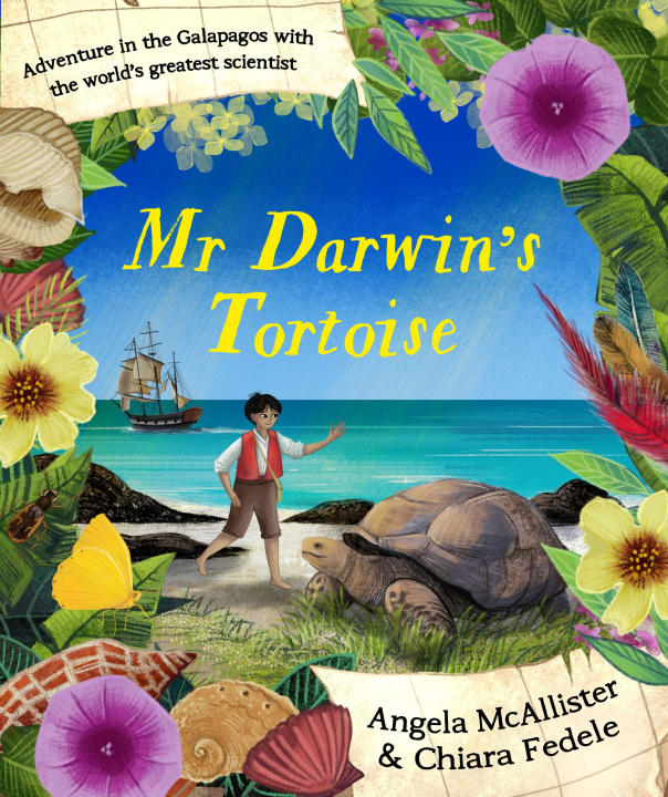 Kniha Mr Darwin's Tortoise Angela McAllister
