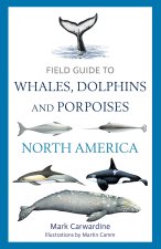 Field Guide to Whales, Dolphins and Porpoises of North America