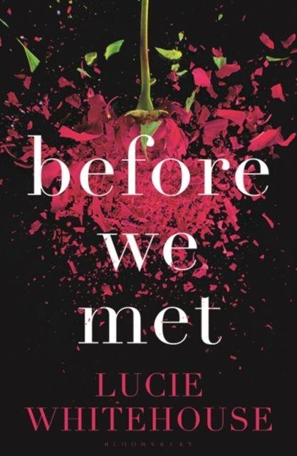 Buch Before We Met Lucie Whitehouse