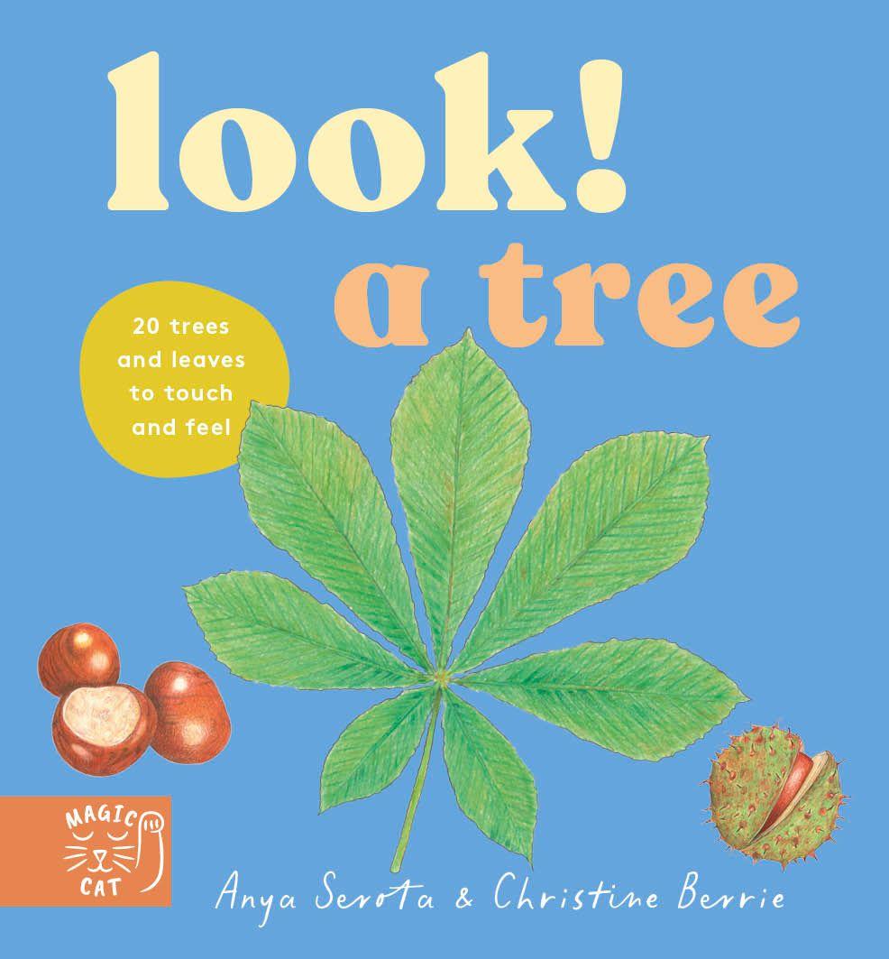 Kniha Look! A Tree! Anya Serota