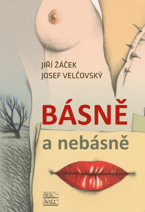 Book Básně a nebásně Jiří Žáček