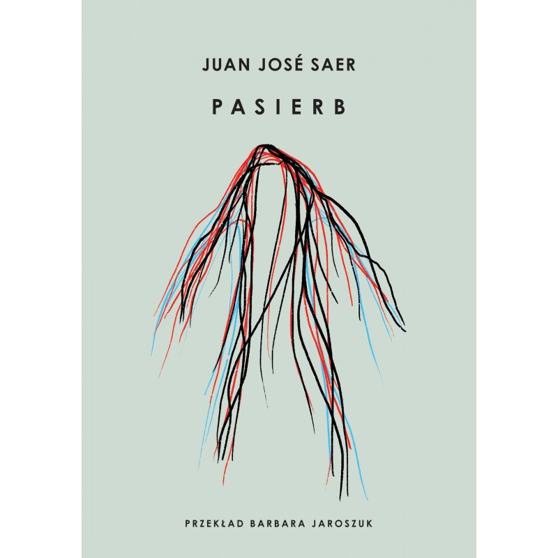 Kniha Pasierb Juan Jose Saer