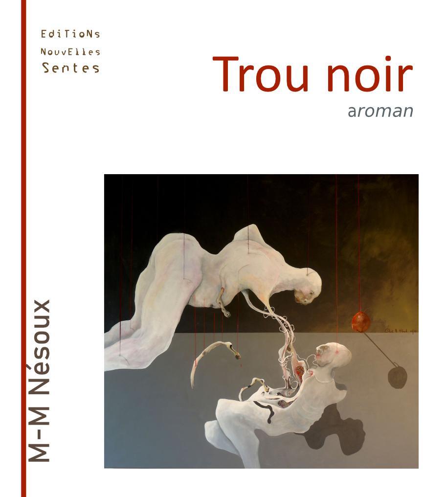 Kniha Trou noir NESOUX