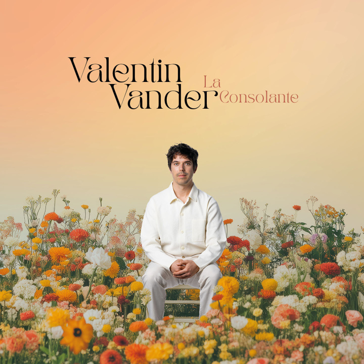 Audio CONSOLANTE VANDER