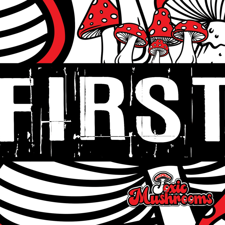 Audio FIRST MUSHROOMS