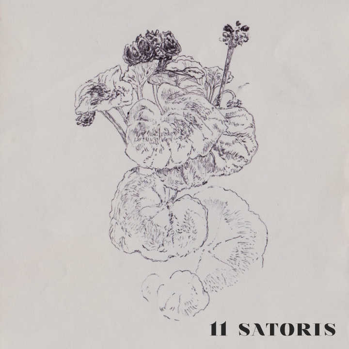 Audio 11 SATORIS SATORIS