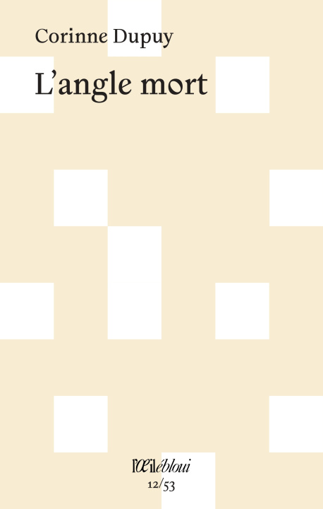 Book L'angle mort Dupuy