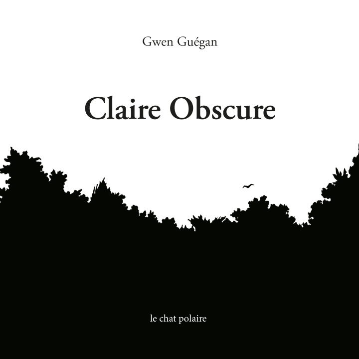 Kniha Claire Obscure Guégan
