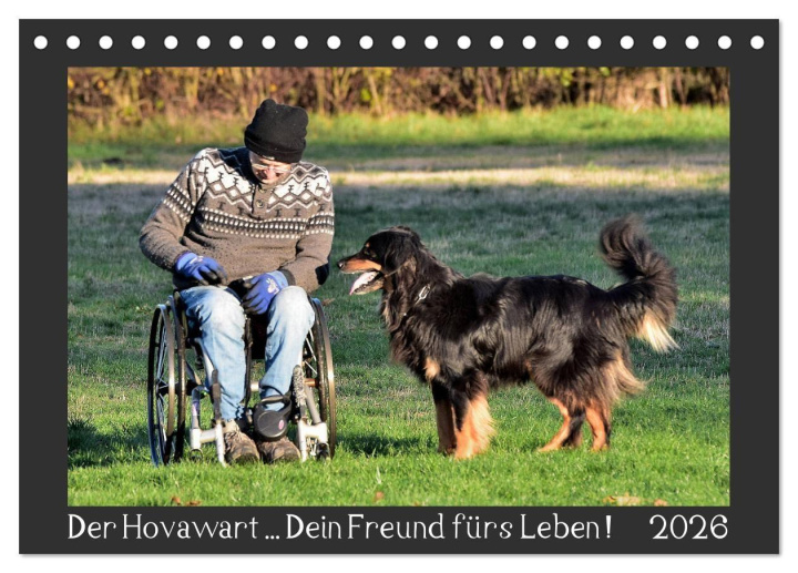 Kalendár/Diár Der Hovawart... Dein Freund fürs Leben ! (Tischkalender 2026 DIN A5 quer), CALVENDO Monatskalender Calvendo
