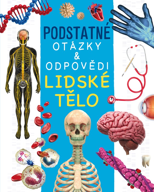 Kniha Lidské tělo Nicola Deschamps