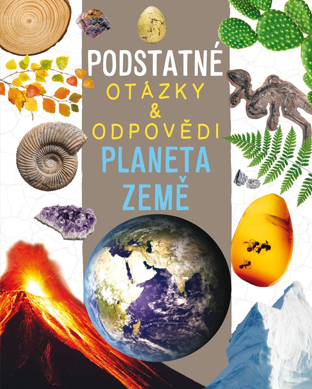 Boek Planeta Země Nicola Deschamps