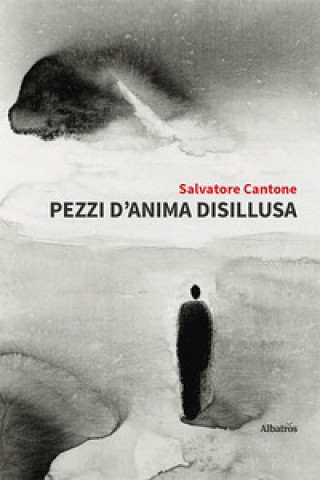 Book Pezzi d'anima disillusa Salvatore Cantone