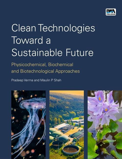 Kniha Clean Technologies Toward a Sustainable Future Dr Maulin Shah