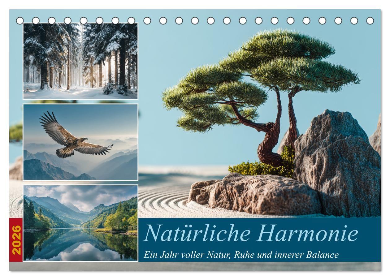 Kalendář/Diář Natürliche Harmonie (Tischkalender 2026 DIN A5 quer), CALVENDO Monatskalender Calvendo