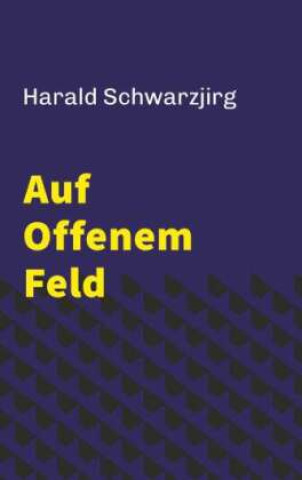 Kniha Auf offenem Feld Harald Schwarzjirg