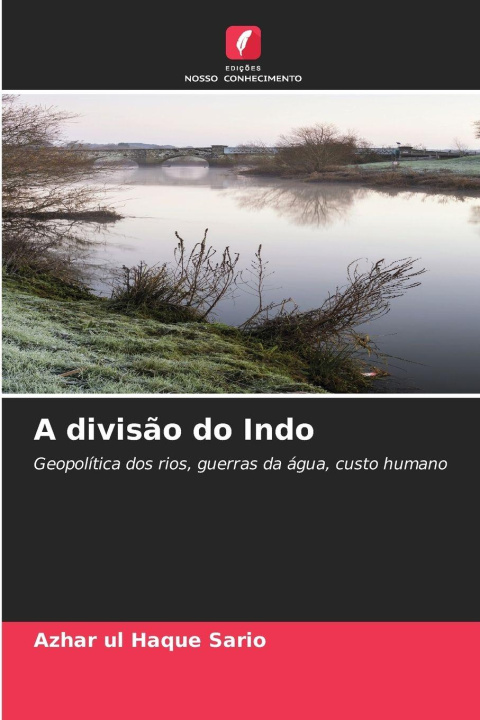 Kniha A divisão do Indo Azhar ul Haque Sario