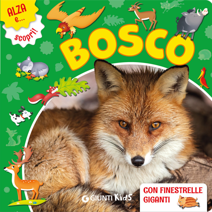 Kniha bosco Gianna Porciatti