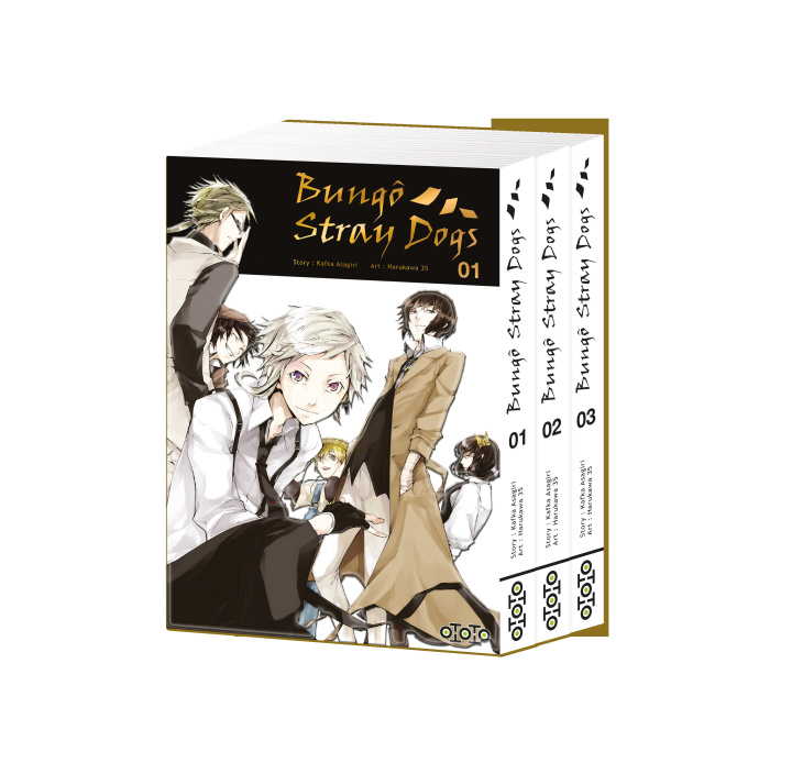 Libro Bungo Stray Dogs 