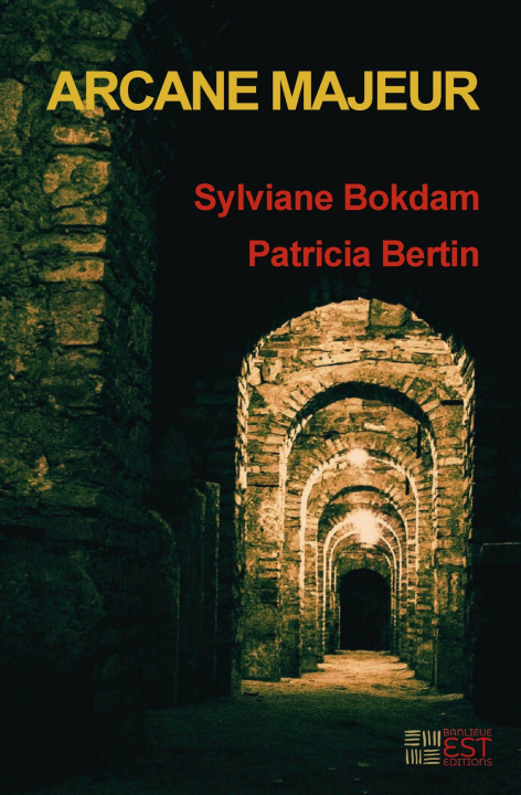 Kniha Arcane Majeur Sylviane Bokdam