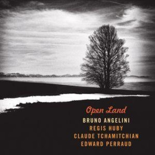 Audio Open Land 