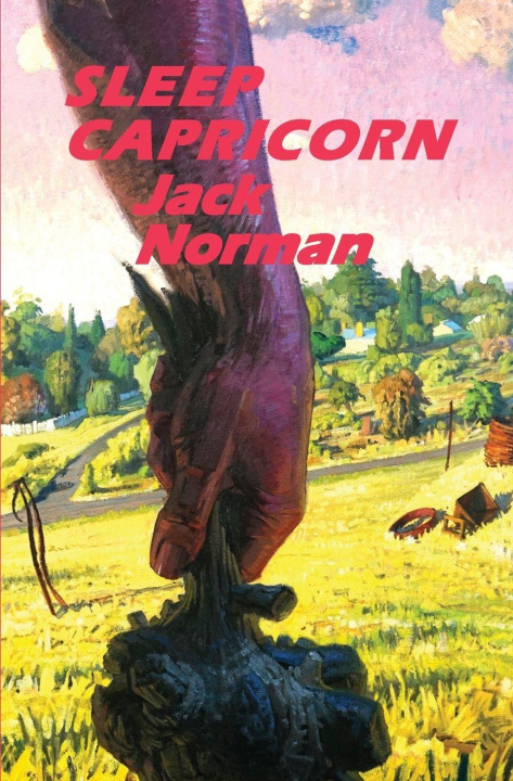 Kniha Sleep Capricorn Jack Norman