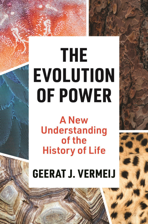 Carte The Evolution of Power VERMEIJ GEERAT