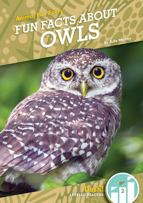Kniha Fun Facts about Owls 