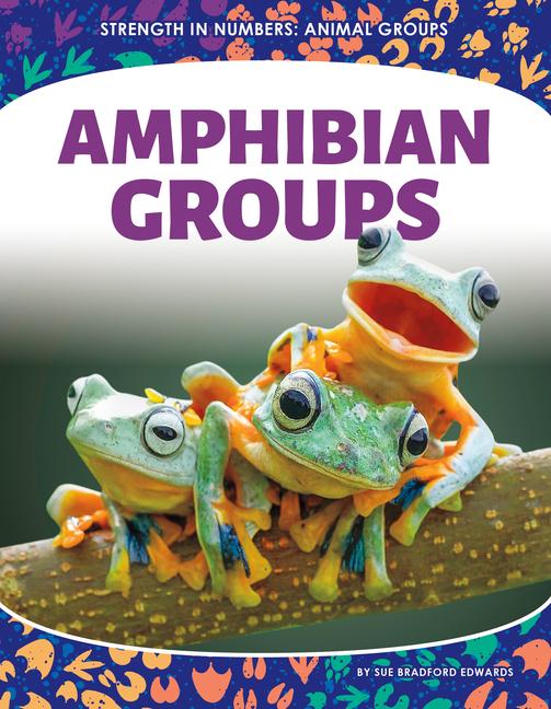 Kniha Amphibian Groups 