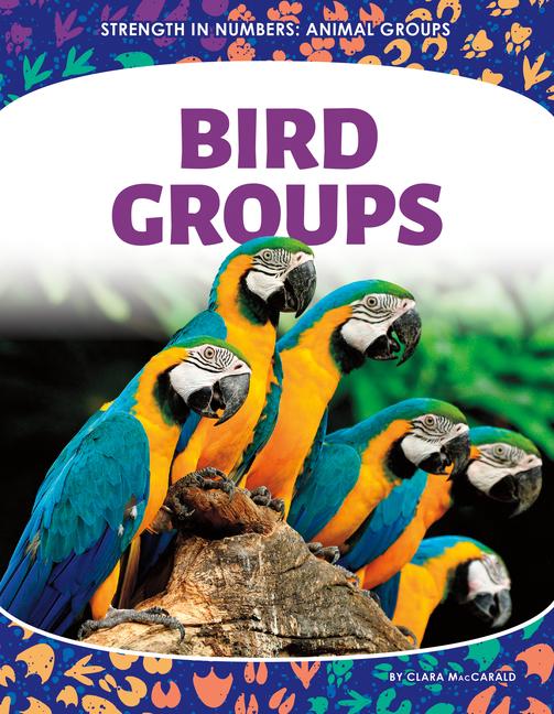 Book Bird Groups 