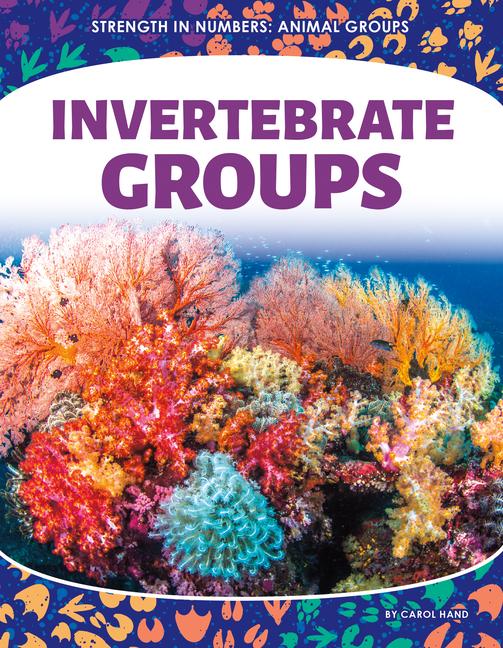 Kniha Invertebrate Groups 