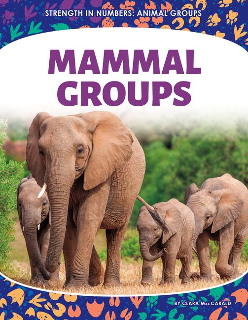 Kniha Mammal Groups 