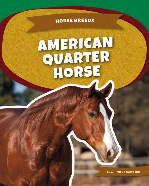 Book American Quarter Horse 