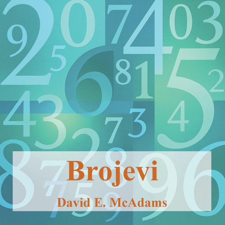 Kniha Brojevi David E. McAdams