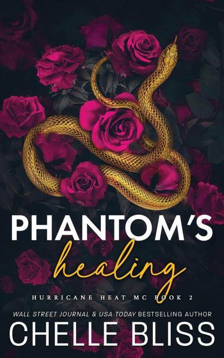 Kniha Phantom's Healing Chelle Bliss