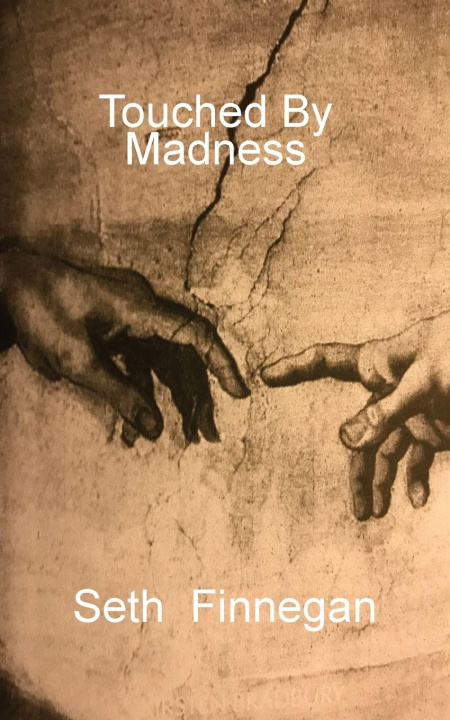 Kniha Touched by Madness Seth Finnegan